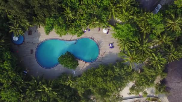 Vista superior da ilha das Maldivas, a câmera está subindo sobre a piscina no hotel de luxo. Vídeo aéreo de resort com muitas palmeiras, bungalows, praia e oceano índio. Vista de cima — Vídeo de Stock