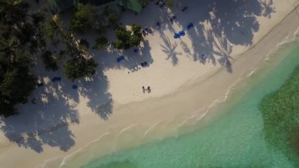 Drohnen-Kamera über dem verliebten Paar, das in der Sonne auf Liegestühlen am Strand liegt und Cocktails am leeren tropischen weißen Sandstrand des Atoll Island Resorts mit Palmen trinkt — Stockvideo