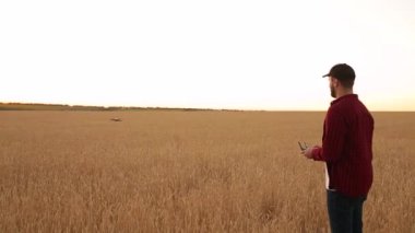 Quadcopter arka plan üzerinde uçan iken Çiftçi elleri ile uzaktan kumanda tutar. Buğday alanında bilimsel tarım uzmanı arkasında dron hovers. Tarım yeni teknolojiler ve yenilikler. Arkadan görünüm