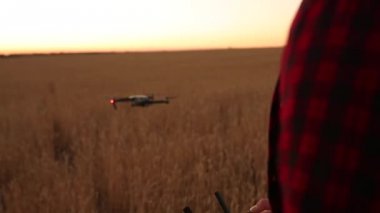 Çiftçi elleri elleri ile uzaktan kumanda tutarken quadcopter arka plan üzerinde uçuyor. Drone yükselir ve buğday alanında uçar. Tarım yeni teknolojiler ve yenilikler. Arkadan görünüm