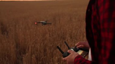 Arka plan üzerinde uçan bir helikopter ise çiftçi elleri ile uzaktan kumanda tutar. Buğday alanı içinde pilot arkasında dron hovers. Yüzü yok. Tarım yeni teknolojiler ve yenilikler kavramı
