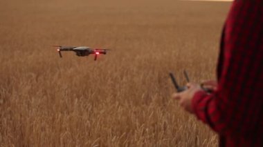 Çiftçi elleri elleri ile uzaktan kumanda tutarken quadcopter arka plan üzerinde uçuyor. Buğday alanında bilimsel tarım uzmanı arkasında dron hovers. Tarım yeni teknolojiler ve yenilikler. Arkadan görünüm
