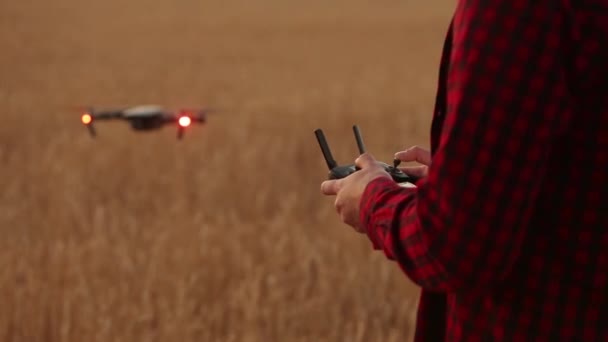 農家手は、quadcopter が背景に飛んでいる間彼の手でリモコンを保持します。ドローンは、麦畑で農業の後ろに置かれています。農業の新技術と革新。背面図 — ストック動画