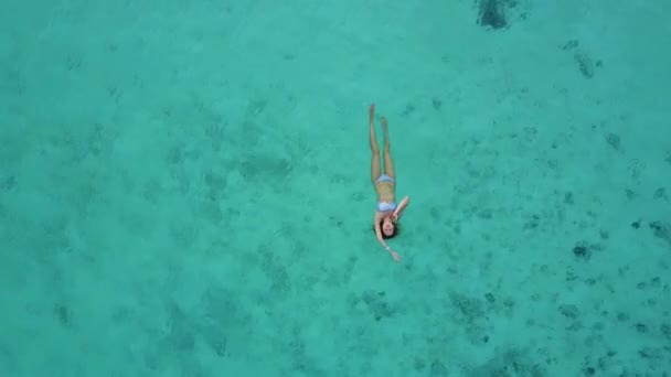Luftaufnahme einer attraktiven Frau im Bikini, die im kristallklaren Meer schwimmt. hübsches Mädchen schwimmt im Indischen Ozean