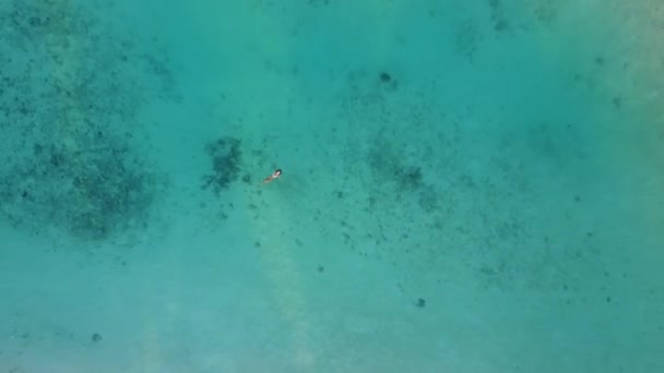 空中无人机摄像头正在上升超过一个迷人的女人在一个比基尼漂浮在水晶清澈的海在环礁热带岛屿度假村 漂亮性感的女孩在印度洋游泳 放松职业教育 — 图库视频影像