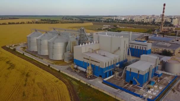 Ar de grandes silos de grãos de aço armazenamento de elevadores no campo de trigo amarelo. Indústria agrícola 4k vídeo aéreo da fábrica de farinha. Produção de pão, conceito de comércio de grãos de colheita . — Vídeo de Stock