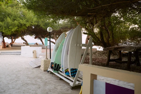 Tablas de surf en un stand en un lugar de surf en Maldivas. Los surfistas dejaron sus tablas de surf durante el descanso para descansar . —  Fotos de Stock