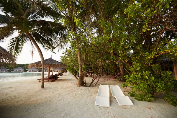 Dos modernas sillas de playa bajo palmeras tropicales en la playa. Costa del océano Índico en la isla de Maldivas. Orilla de arena blanca y mar tranquilo. Concepto de viajes y vacaciones . —  Fotos de Stock