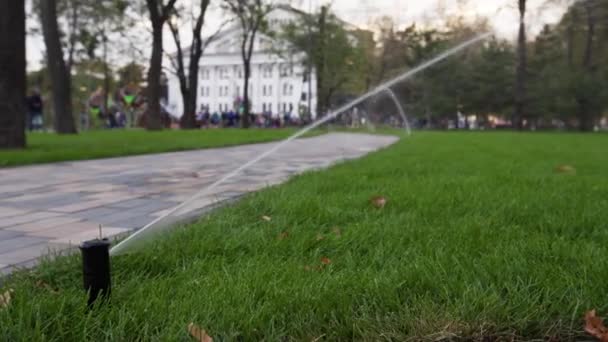 Tuin irrigatie sprinkler drenken grasveld in het park in de buurt van loopbrug. Geautomatiseerd roterende irrigatiesysteem. Groen gras en landschap design. Camera op schuif, bijhouden van schot in 4k. — Stockvideo