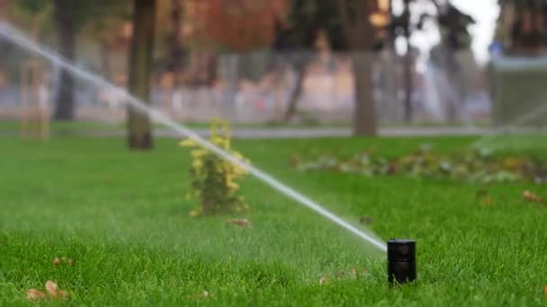 Trädgården bevattning sprinkler vattna gräsmattan i parken nära gångväg. Automatiserad roterande bevattningssystem. Grönt gräs och landskap design. Kameran på reglaget, spårning skott i 4k. — Stockvideo