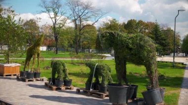 Bahçevan filler ve zürafa bitki tencere construstion sitesinde. Yeşil peyzaj tasarım konsepti. Bitki heykeller ve yeşil çim ve yapraklı ağaçların arkasına park yeniden.