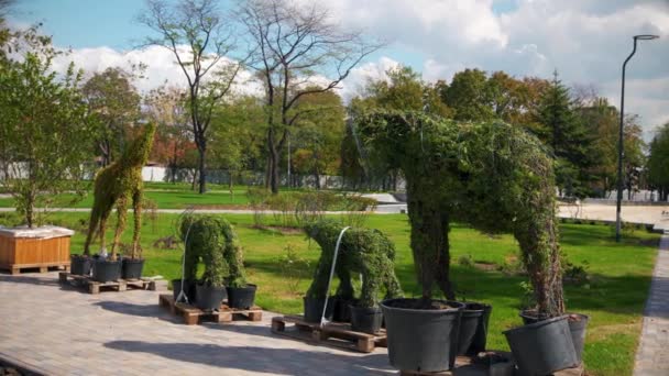 Topiary elephants and giraffe in plant pots at construstion site, Environ. Concept de conception de paysage de verdure. Reconstruction du parc avec sculptures végétales et pelouse verte et arbres feuillus derrière . — Video