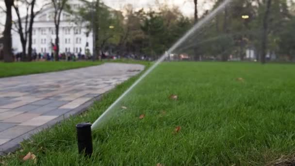 Trädgården bevattning sprinkler vattna gräsmattan i parken nära gångväg. Automatiserad roterande bevattningssystem. Grönt gräs och landskap design. Kameran på reglaget, spårning skott i 4k. — Stockvideo