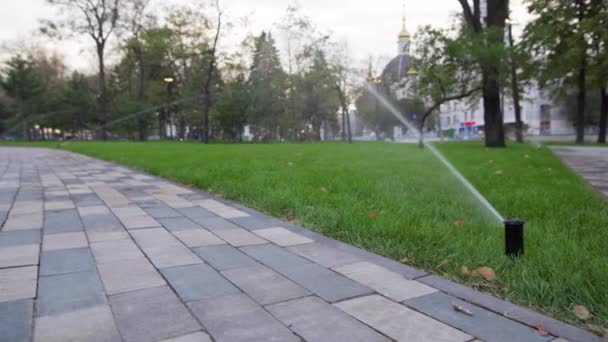 庭の潅漑のスプリンクラーは、通路の近くの公園の芝生に水をまきます。自動化された灌漑システムの回転。緑の草とランドス ケープ デザイン。4 k でスライダー、追跡のカメラ撮影. — ストック動画