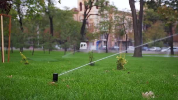 Tuin irrigatie sprinkler drenken grasveld in het park in de buurt van loopbrug. Geautomatiseerd roterende irrigatiesysteem. Groen gras en landschap design. Camera op schuif, bijhouden van schot in 4k. — Stockvideo