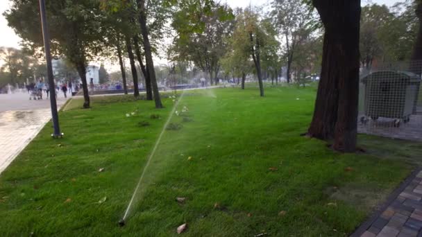 Tuin irrigatie sprinkler drenken grasveld in het park in de buurt van loopbrug. Geautomatiseerd roterende irrigatiesysteem. Groen gras en landschap design. Camera op schuif, bijhouden van schot in 4k. — Stockvideo