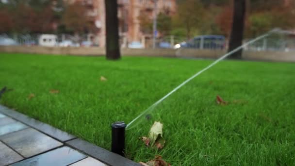 Tuin irrigatie sprinkler drenken grasveld in het park in de buurt van loopbrug. Geautomatiseerd roterende irrigatiesysteem. Groen gras en landschap design. Sproeier boven de begane grond en gaat naar beneden. — Stockvideo