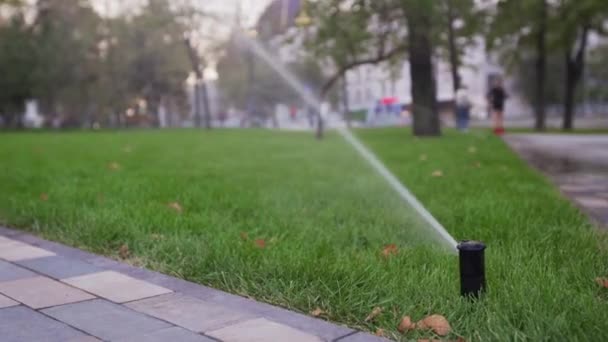 Tuin irrigatie sprinkler drenken grasveld in het park in de buurt van loopbrug. Geautomatiseerd roterende irrigatiesysteem. Groen gras en landschap design. Camera op schuif, bijhouden van schot in 4k. — Stockvideo