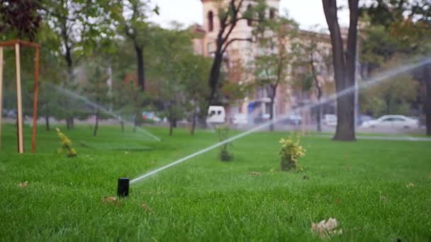 庭の潅漑のスプリンクラーは、通路の近くの公園の芝生に水をまきます。自動化された灌漑システムの回転。緑の草とランドス ケープ デザイン。4 k でスライダー、追跡のカメラ撮影. — ストック動画