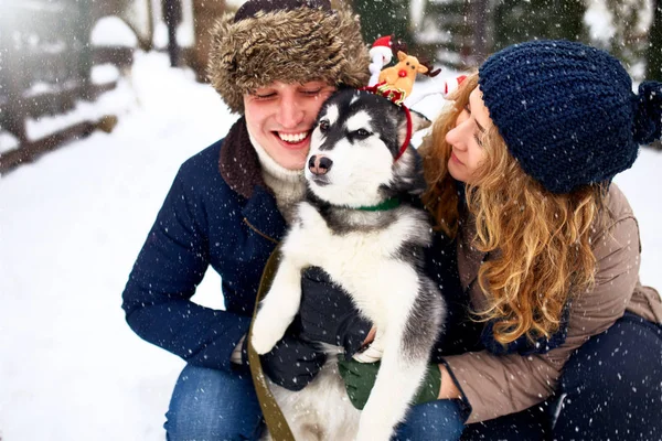 Family portrait of cute happy couple hugging with their alaskan malamute dog licking mans face. Funny puppy wearing santa christmas deer antlers. Freedom lifestyle pet lovers young family smiling.