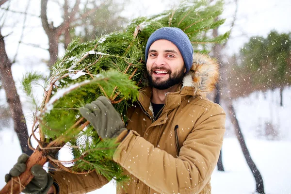 Bearded man carrying freshly cut down christmas tree in forest. Young lumberjack bears fir tree on his shoulder in the woods. Irresponsible behavior towards nature, save forest, keep green concept. — Stock Photo, Image