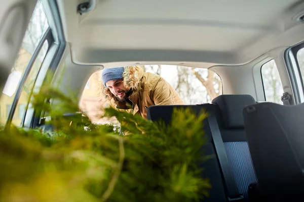 Homem barbudo a carregar a árvore de Natal no porta-bagagens do carro, com vista para dentro. Hipster coloca abeto na parte de trás de seu hatchback. Interior automático conversível com assentos dobráveis práticos para espaço de inicialização . Fotos De Bancos De Imagens