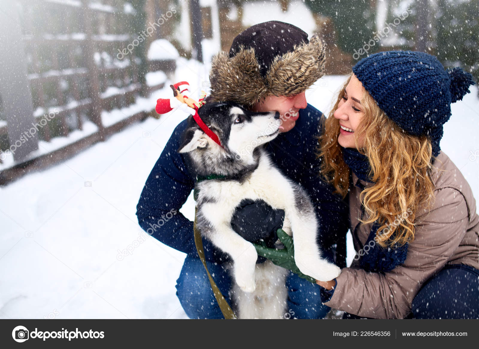 Family portrait of cute happy couple hugging with their alaskan malamute  dog licking mans face. Funny puppy wearing santa christmas deer antlers and  licking mans face. Freedom lifestyle pet lovers. Stock Photo