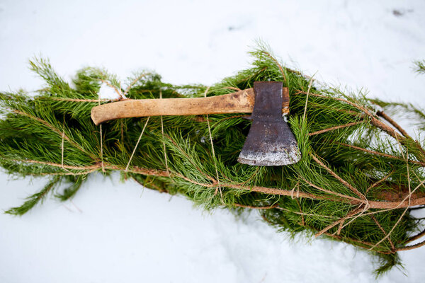 Axe on cut down spruce or pine christmas tree branches on snowy ground. Deforestation ban. Irresponsible behavior towards nature, keep green, save forest concept.