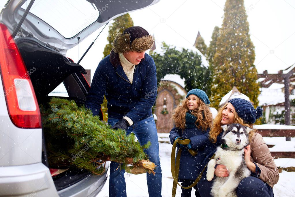 Father brought christmas tree in large trunk of SUV car. Daughter, mother and dog meet dad happily help him with holidays home decorations. Family prepares for new year together. Snowy winter outdoors