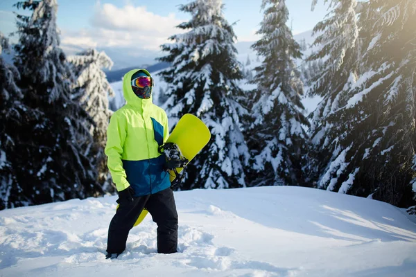 Ormanı backcountry freeride için onun snowboard taşıyan ve kayak merkezi yansıtıcı gözlük, renkli moda kıyafet ve yün giyen dağ tepe tırmanma snowboard. Kış sporları.