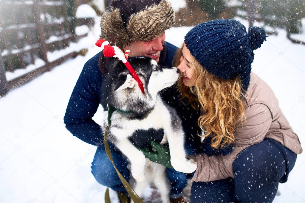 Family portrait of cute happy couple hugging with their alaskan malamute dog licking mans face. Funny puppy wearing santa christmas deer antlers and kissing woman. Freedom lifestyle pet lovers.