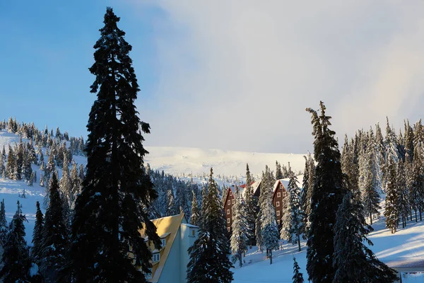 Estación de esquí de montaña foto paisaje invierno. Grandes abetos y casas de chalets cubiertas de nieve. Vacaciones y casas de vacaciones al amanecer en el valle cerca del telesilla. Edificios del hotel por la mañana . — Foto de Stock