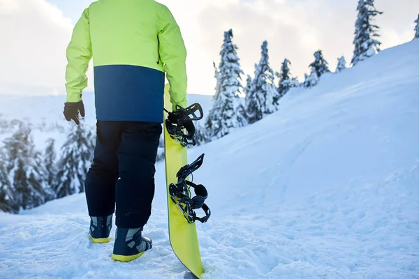 Vista trasera de snowboarder escalando con su tabla en el monte para sesión freeride backcountry en el bosque. Hombre con snowboard caminando en la estación de esquí. Jinete traje de moda de cal . —  Fotos de Stock