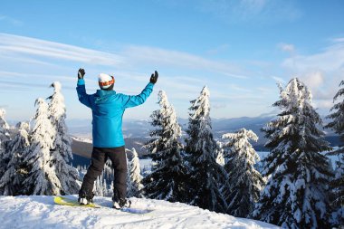 Snowboard kaldırdı kollarını ve ellerini gökyüzüne Kayak Merkezi için. Adam dağın tepesinde ormanı backcountry freeride güzel manzara zevk için snowboard ekipman ile çıktı. Anı