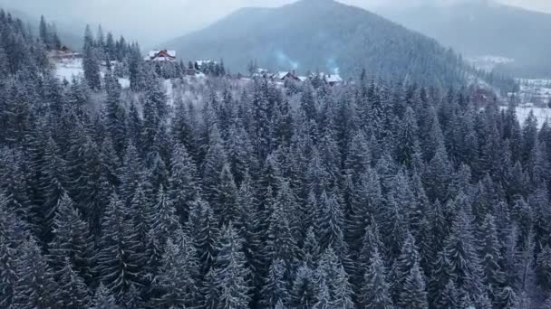 Reveladora antena de localidad habitada en las montañas en invierno. Edificios del pueblo de montaña en laderas nevadas cubiertas de nieve. Campo, abeto y bosque de pinos. Cabañas de estación de esquí . — Vídeos de Stock