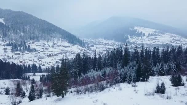 Letecký obydlené lokality v horách v zimě. Horská vesnice budovy a domy na zasněžené kopce svahy pokryté sněhem. Venkov, jedle strom a borový les. Kouř z komína. — Stock video