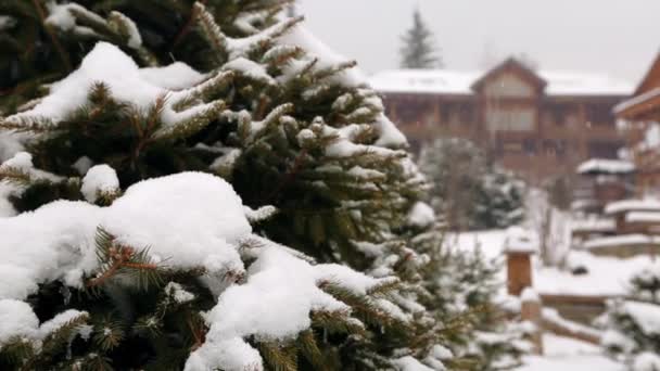 Snow falling fir tree branches, wooden cottages on background. Heavy snowfall at mountain village ski resort. Cold frosty winter day in mountains. Authentic landscape design with spruce and bushes. — Stock Video