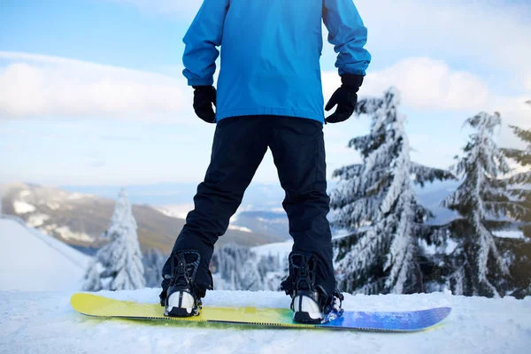 Vista posterior de las piernas snowboarder en su tabla antes de la sesión freeride backcountry en el bosque. Mans pies en botas montadas en modernas fijaciones de flujo rápido de snowboard fijadas con correas. Jinete en estación de esquí . —  Fotos de Stock