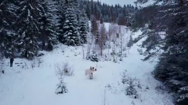 Damat iplik mutlu gelin ona kar yağışı sırasında kar hava Köknar Ladin ağacı orman elinde tutan hava. Mutlu yeni evliler iyi eğlenceler. Flyes uzak durun robot. Sevgililer günü Noel kavramı.
