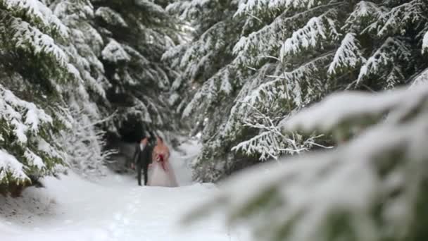 Joven pareja de novios caminando, sonriendo y hablando cogidos de la mano en el bosque nevado durante las nevadas. Inspiración de boda de invierno. Novia y novio divirtiéndose en los bosques de cuento de hadas. Recién casados en el primer encuentro . — Vídeo de stock