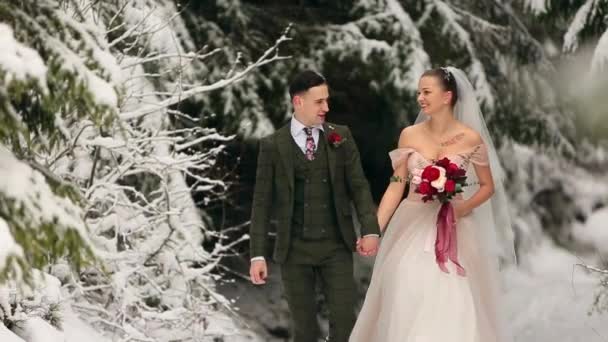 Jonge bruidspaar lopen, handen lachen en praten bedrijf in het besneeuwde bos tijdens de sneeuwval. Winter wedding inspiratie. Bruid en bruidegom plezier in sprookje bos. Jonggehuwden bij eerste ontmoet. — Stockvideo