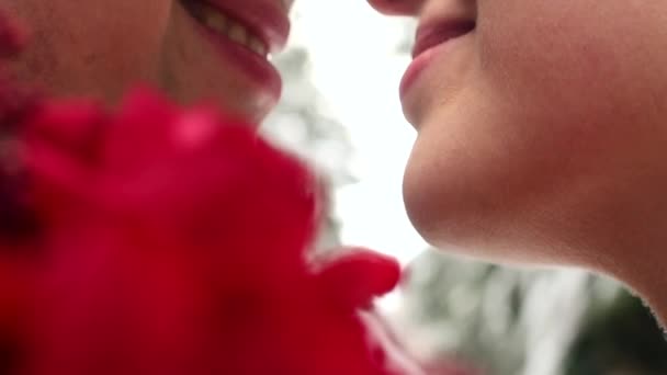 Os noivos recém-casados abraçam o beijo na floresta nevada e perene durante a queda de neve em câmera lenta. .. Casal romântico em bosques de inverno. Mulher com buquê de rosas. Dia dos Namorados. Transição de foco, tiro macro . — Vídeo de Stock