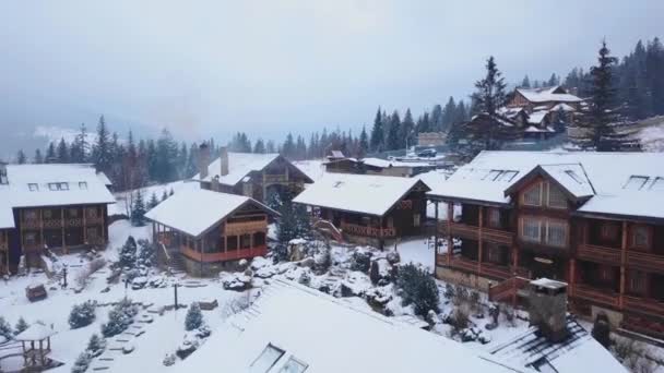 Luchtfoto van houten huisjes in bergdorp met naaldhout bos omgeven. Drone weergave van chalets bedekt met sneeuw in skiresort. Ijzig koude winterdag en sneeuwval in de bergen. — Stockvideo