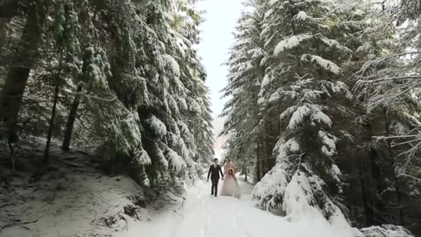 Unga bröllop par promenader, händer ler och pratar innehav i snöiga skogen under snöfall. Vinter bröllop inspiration. Brudgummen och bruden ha roligt i Saga skogen. Nygifta på första meet. — Stockvideo