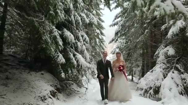 Νέους γάμο ζευγάρι περπάτημα, χαμογελώντας και μιλώντας εκμετάλλευση χέρια στο χιονισμένο δάσος κατά τη διάρκεια της χιονόπτωσης. Χειμώνας γάμου έμπνευση. Γαμπρός και νύφη διασκεδάζοντας στο παραμύθι δάσος. Νεόνυμφοι στο πρώτο του συναντιέται. — Αρχείο Βίντεο