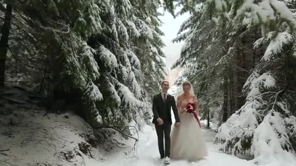 Giovani sposi che camminano, sorridono e parlano tenendosi per mano nella foresta innevata durante le nevicate. Ispirazione al matrimonio invernale. Sposo e sposa si divertono nei boschi delle favole. Gli sposi al primo incontro . — Video Stock