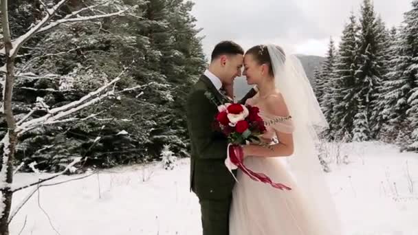 Newlyweds Groom Bride Hug Kiss Warm Each Other Snowy Evergreen — Stock Video