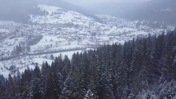 Aereo di località abitata in montagna in inverno. Edifici e case di paese montano su pendii innevati ricoperti di neve. Campagna, abete e pineta. Cottage di stazione sciistica . — Video Stock