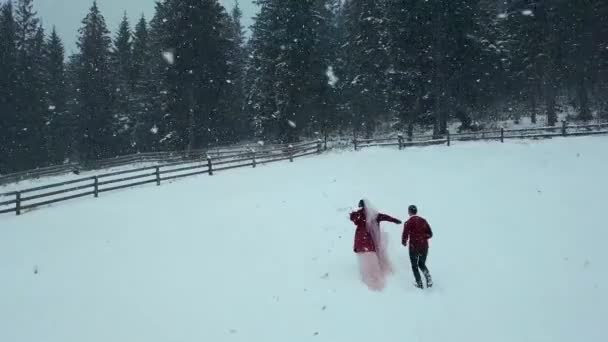冬季空中的年轻婚礼夫妇跑 并有乐趣牵手在大雪对冷杉或云杉森林的 Rancho 雪的订婚仪式 浪漫童话 — 图库视频影像