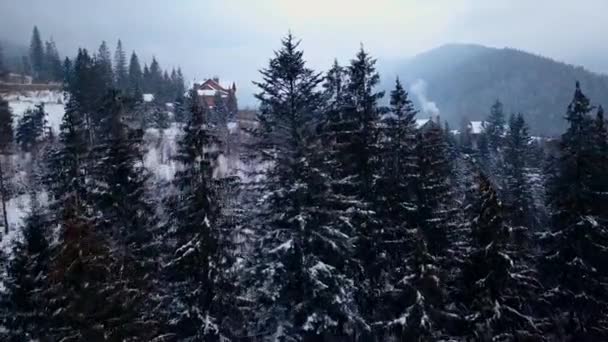 明らかに撮影冬山における居住地域の空中 山村の建物と雪に覆われた丘の斜面に住宅は 雪で覆われています モミの木や松の森 — ストック動画